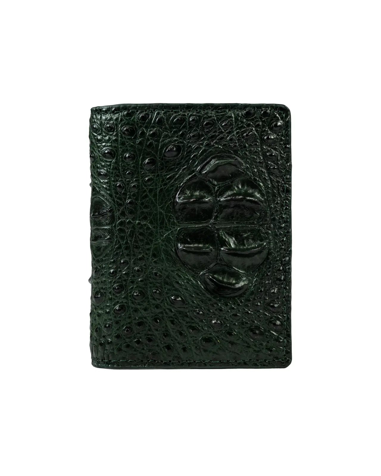 Paradoxe Paris | All collections Paradoxe Paris | All collections